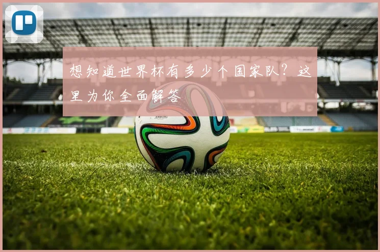 想知道世界杯有多少个国家队?这里为你全面解答