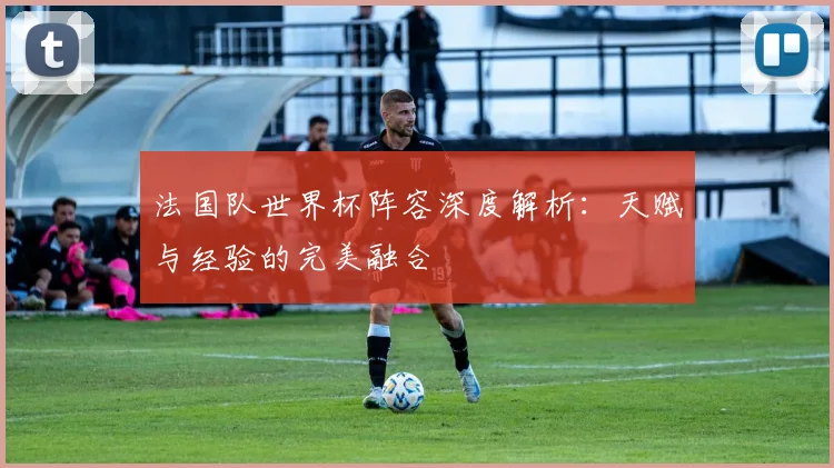 法国队世界杯阵容深度解析:天赋与经验的完美融合