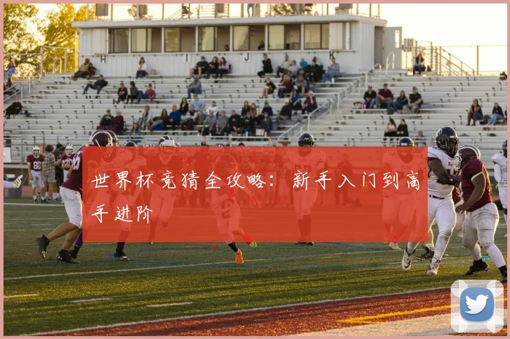 世界杯竞猜全攻略:新手入门到高手进阶