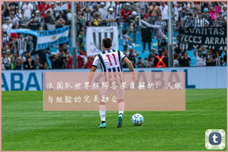 法国队世界杯阵容深度解析:天赋与经验的完美融合